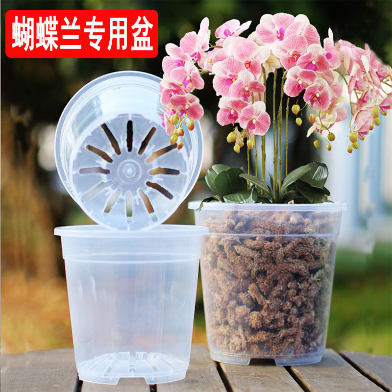 蝴蝶兰透明硬质塑料花盆高透明加厚兰花盆铁皮石斛青山控根透气盆