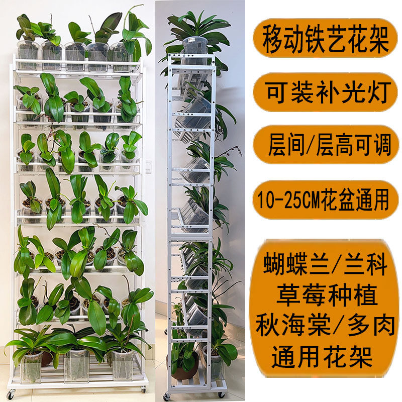 [多层可移动落地式花架]带轮补光灯蝴蝶兰兰科草莓秋海棠多肉通用,鲜花速递/花卉仿真/绿植园艺,花架,淘宝优惠券,粉丝福利购,淘宝优惠卷