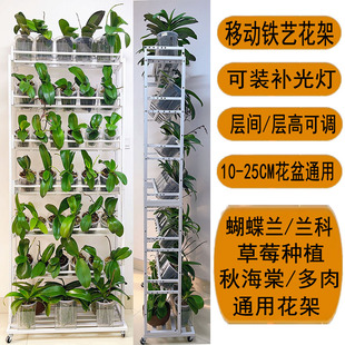 [多层可移动落地式花架]带轮补光灯蝴蝶兰兰科草莓秋海棠多肉通用