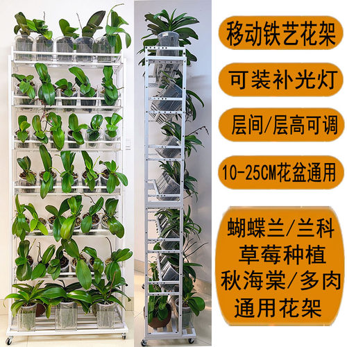 [多层可移动落地式花架]带轮补光灯蝴蝶兰兰科草莓秋海棠多肉通用