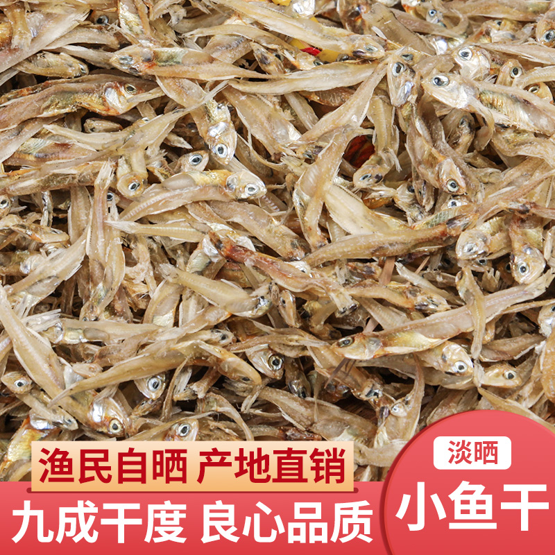 讨海船风干咸鱼干海燕鱼