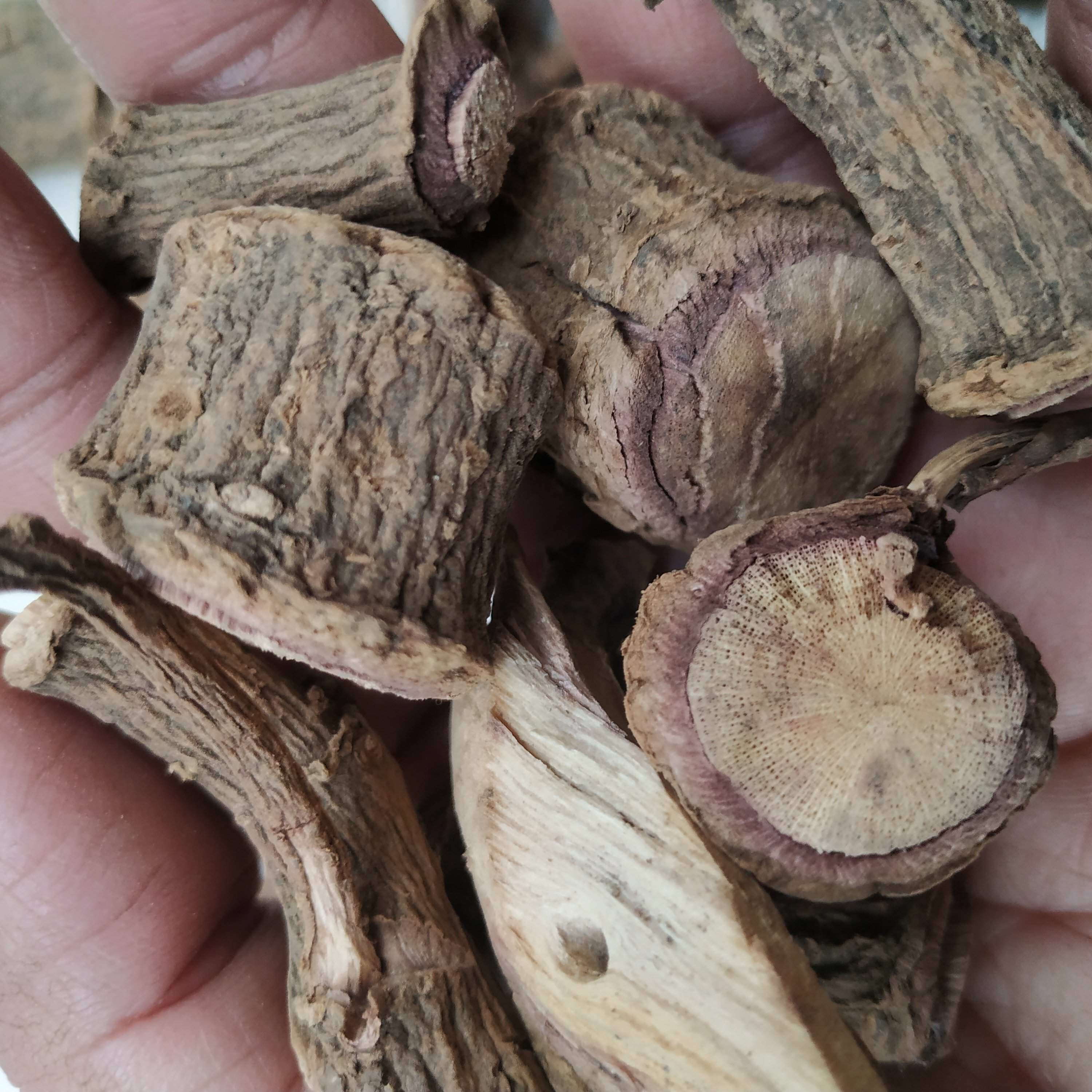 水冬瓜根 茎500g包邮贵州省苗岭野生中草药材桤木根水青风 桤蒿