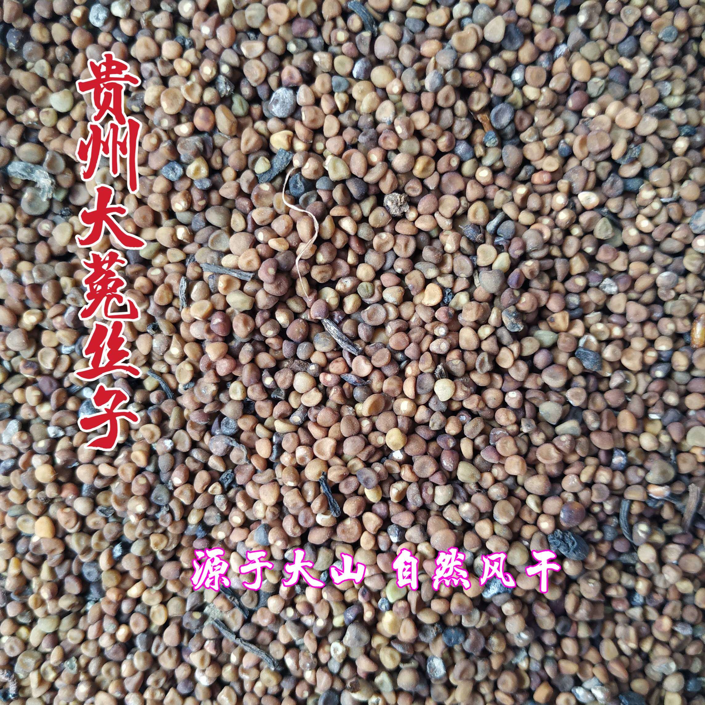 贵州省菟丝子包邮中草药材无根草无娘藤淫羊藿韭菜籽粉