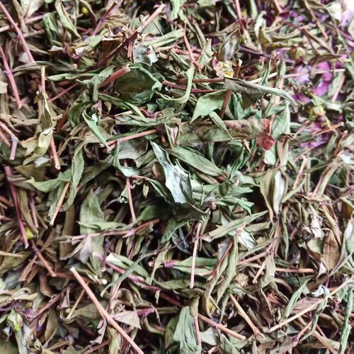 贯叶金丝桃贵州省中草药圣约翰草大过路黄大小对叶草500g包邮 - 封面