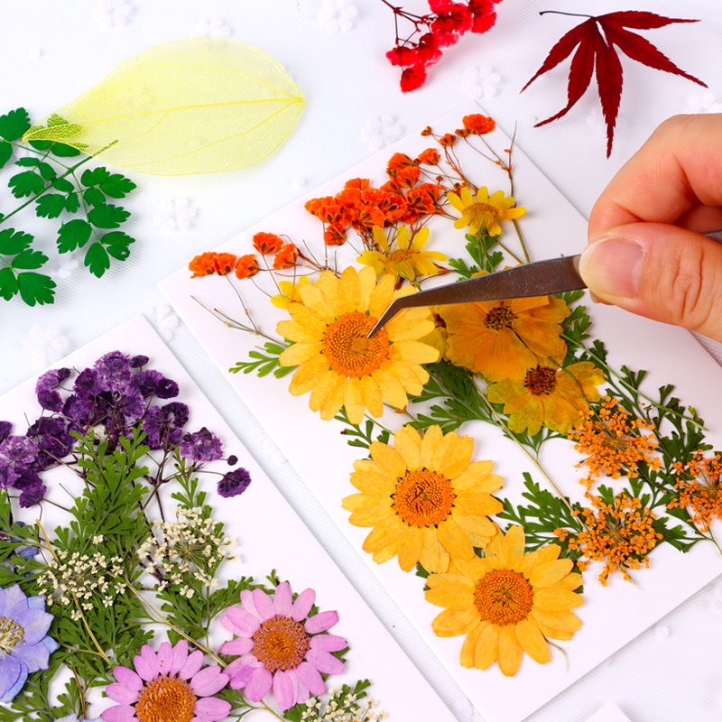 押花混合DIY干花树叶