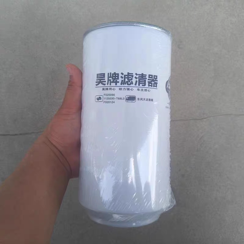 FS20124柴油滤芯适用FS20090东风天龙1125030-T68L0康明斯5405297