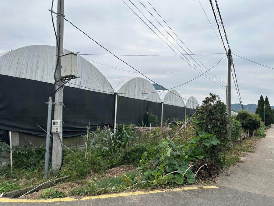 2月1日南平农业公大棚（13个）网络拍卖公告