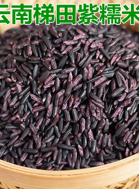 紫糯米云南特产紫米红河哈尼梯田老品种紫糯米黑米500克清香软糯