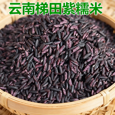 云南哈尼梯田紫糯米软糯500克