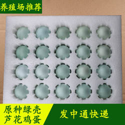 纯种汶上绿壳蛋芦花鸡杂交金芦花公母果园生态散养抱窝山星土鸡蛋