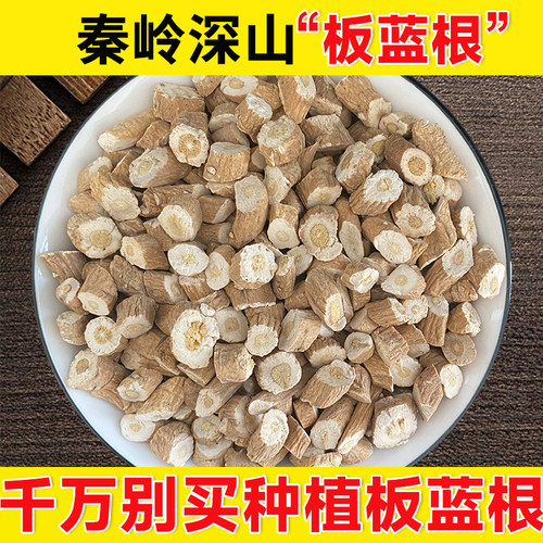 野生板蓝根500g无硫熏染