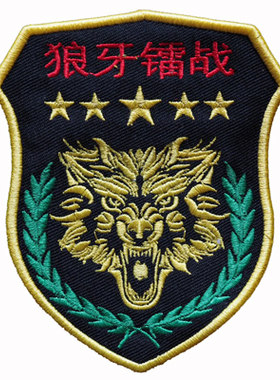 臂章中国刺绣魔术军迷个性定做
