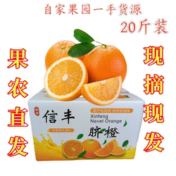 正宗赣南信丰脐橙 果农产地直发未受冻害 20斤手剥橙甜橙整箱包邮