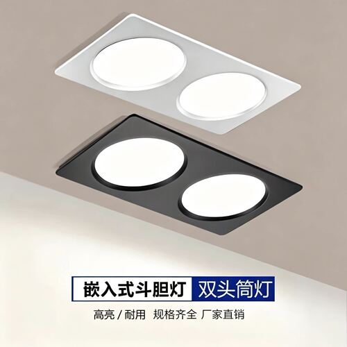 双头筒灯双孔嵌入式超薄开孔10*20cm格栅灯店铺商用led射灯斗胆灯
