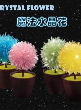 儿童益智趣味diy自种水晶花生长