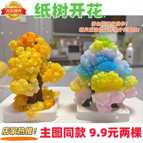 纸树开花神奇魔法树实拍产品图
