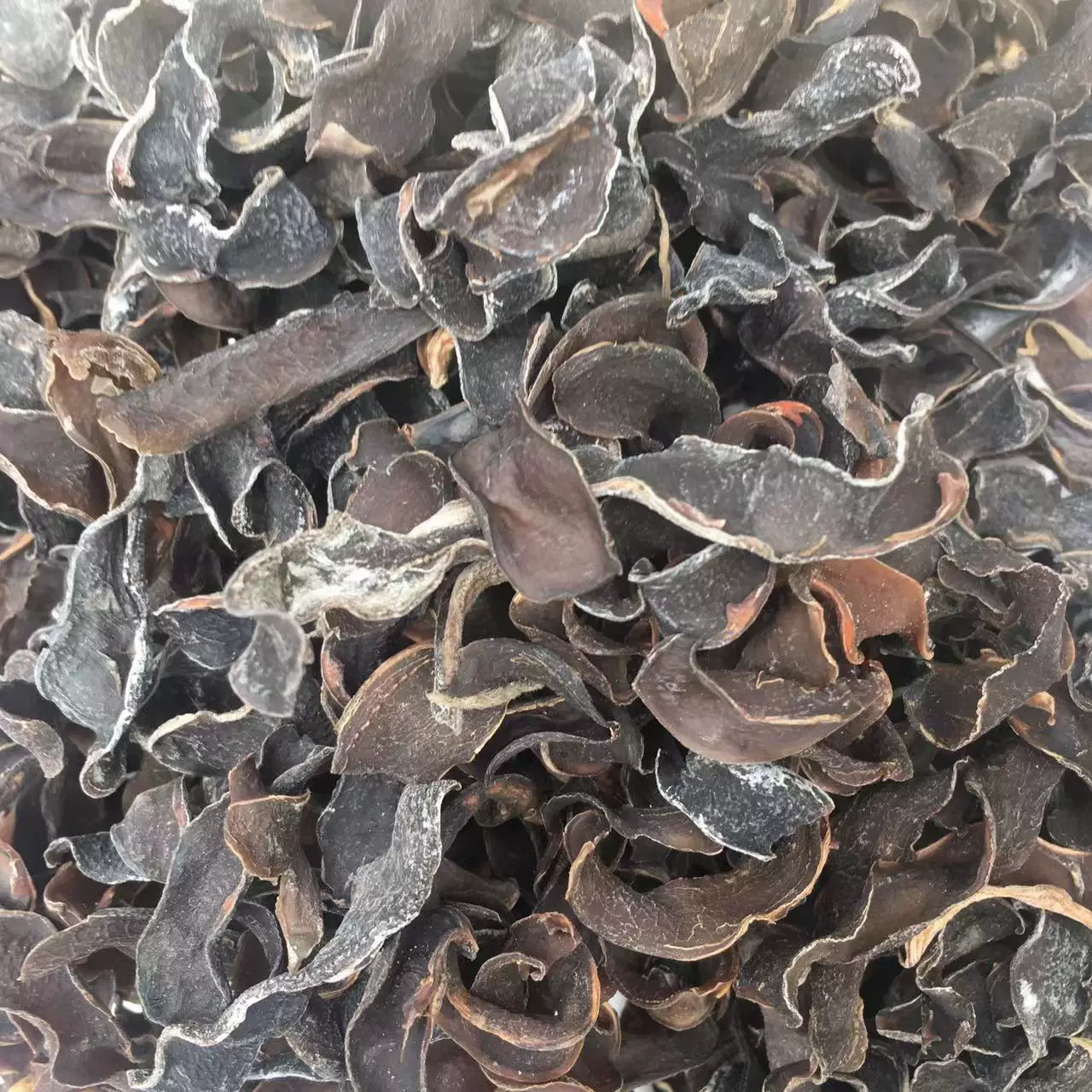 广西新品农家自种新鲜晒干疏菜狗儿豆龙爪农家晒制干猫爪豆狗儿豆