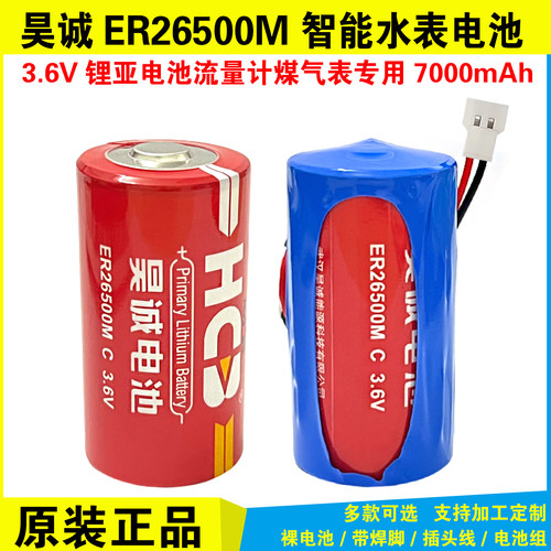 昊诚ER26500MPLC燃气表流量计