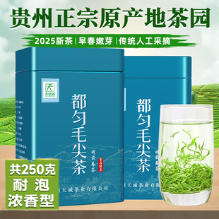 正宗贵州都匀毛尖2025新茶特级明前毛尖茶云雾绿茶春茶叶罐装 250g