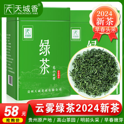 贵州绿茶2024新茶浓香型茶叶