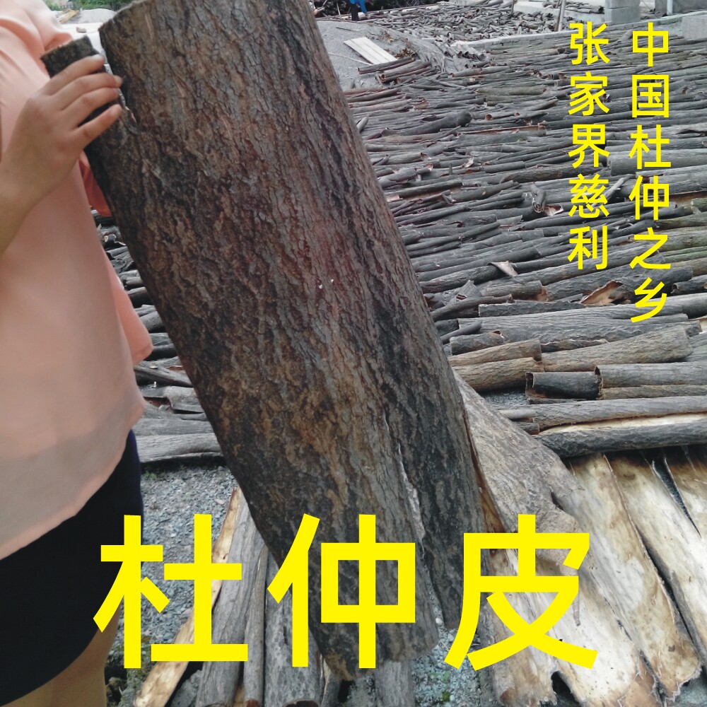 杜仲之乡杜仲皮可泡酒泡茶杜仲皮老树张家界特产正品质量可靠包邮