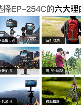 曼比利 EP-254C相机碳纤维三脚架单反微单云台套装便携式手机炭纤