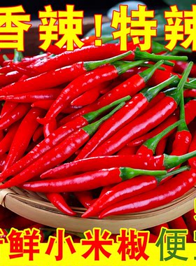 小米辣椒新鲜5斤批发朝天椒特辣泡椒红小尖椒指天椒超辣红辣椒10
