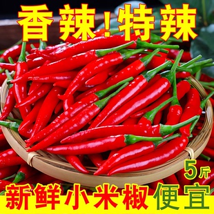 小米辣椒新鲜5斤批发朝天椒特辣泡椒红小尖椒指天椒超辣红辣椒10