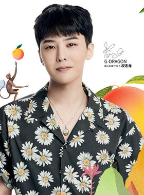 权志龙gd同款复古小雏菊短袖