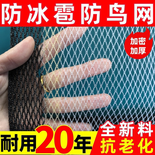 加厚防冰雹果园防护防雹网果树防鸟农用防护网果园网防鸟网葡萄网