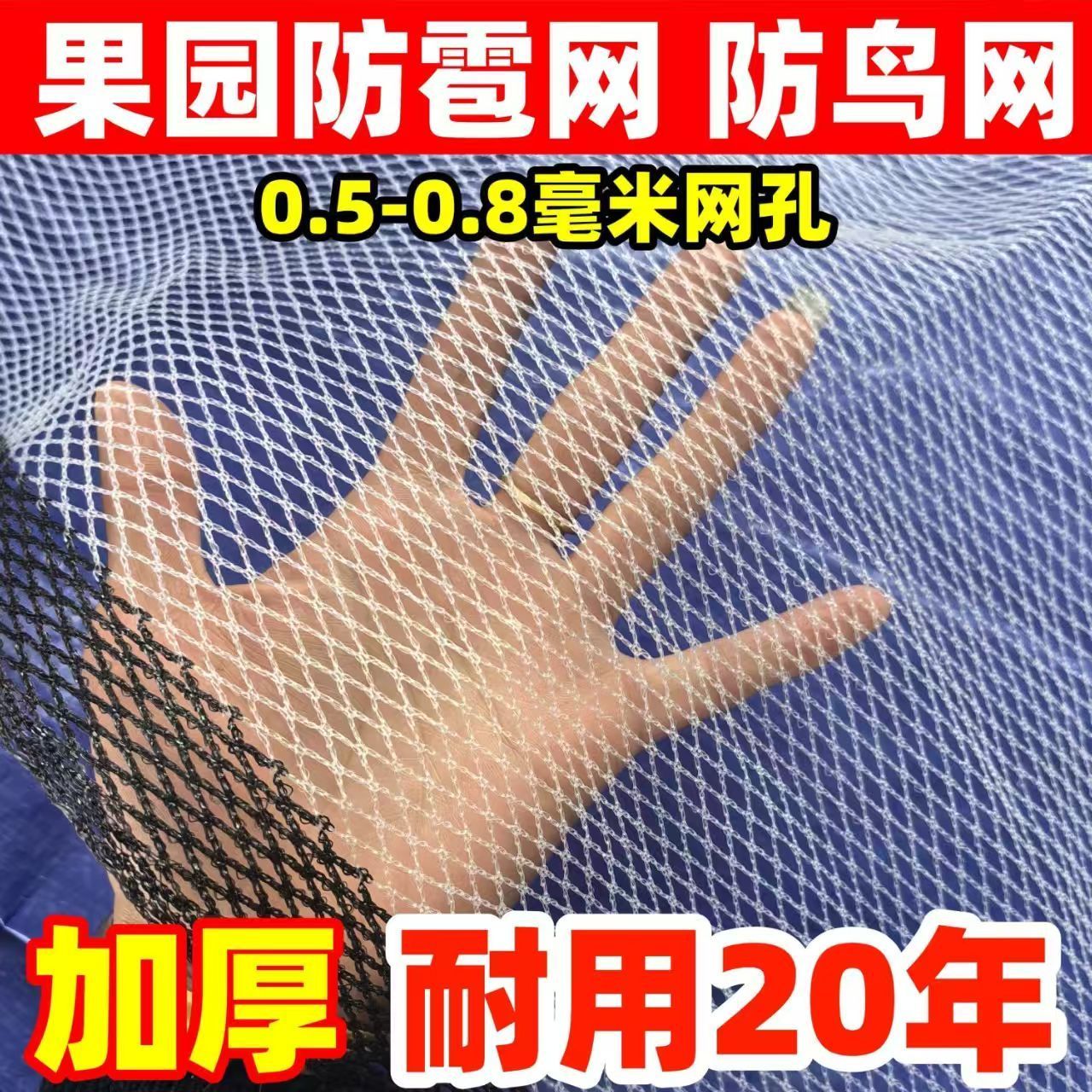 防冰雹网果园防鸟网葡萄网