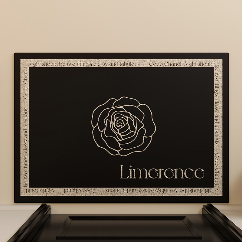 高级感丝圈入户门地垫家用大门口玄关进门垫子蹭土防滑脚垫可裁剪