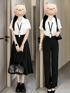 白色短袖衬衫女夏季答辩教师穿搭小个子职业面试女正装酒店前台蓝