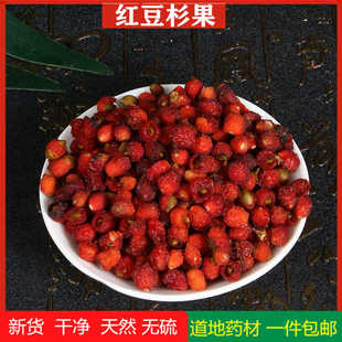 红豆杉果中药材100克g精选南方红豆杉果实干正品新鲜干货紫杉干果