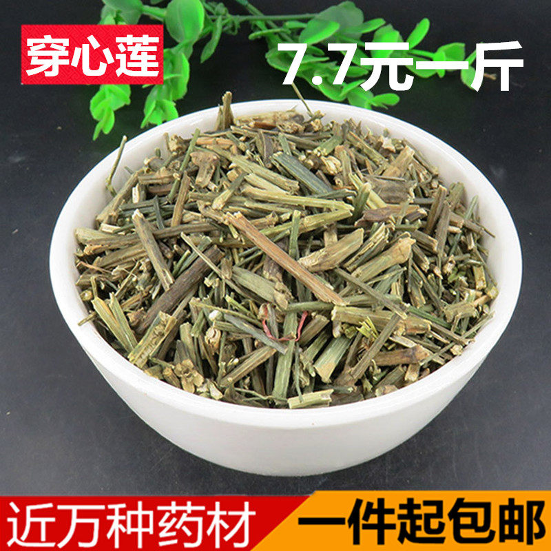 四方莲穿心莲中草药 一见喜 苦草 500克g中药材大全 包邮