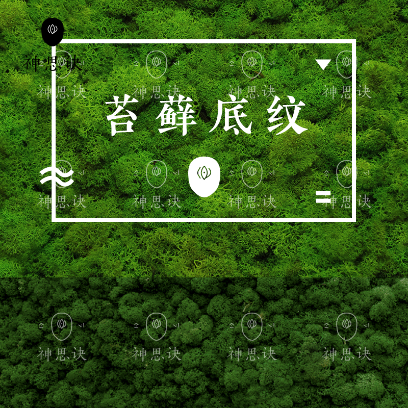 0028【苔藓底纹】青苔绿植高清设计背景素材JPG图片C4DSU贴图