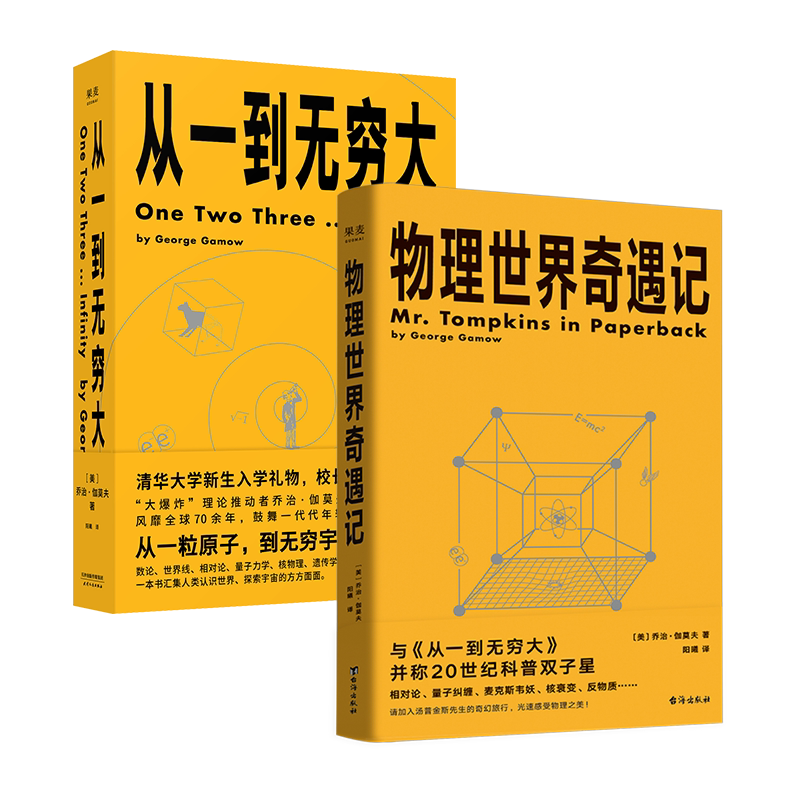 从一到无穷大+物理世界奇遇记(套装) 乔治·伽莫夫科普经典 20世纪科普双子星 科普读物 物理学 相对论 天文学 数学 果麦出品