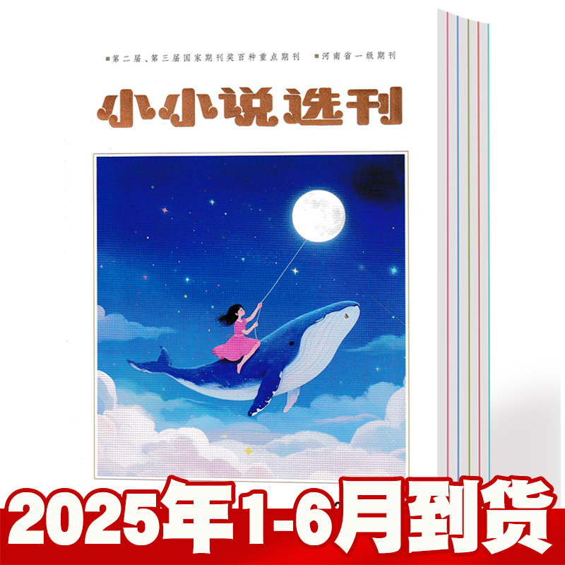 小小说选刊2025年1-6月