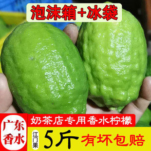 新鲜广东香水柠檬5斤一级中大果无籽绿青柠檬奶茶店专用皮薄水果