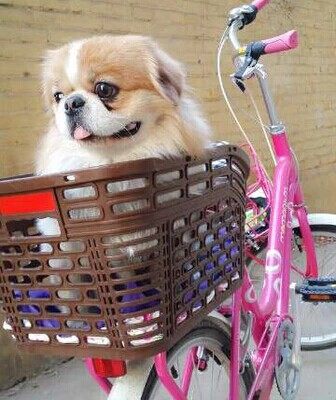 Panier pour vélo en plastique - Ref 2257168 Image 5