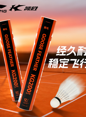 李宁专业耐打稳定羽毛球KD200lite鸭毛鹅毛球训练比赛球官方正品