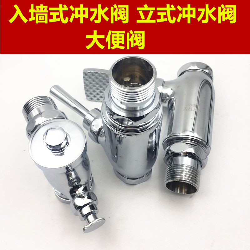 全铜按钮式入墙式延时大便冲水阀 立式蹲坑自闭冲水器 手按脚踏式