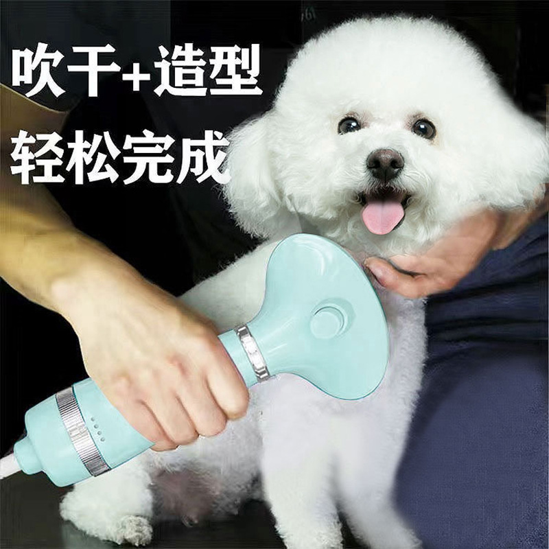 宠物吹风机狗狗吹毛神器小型犬猫咪洗澡专用吹风拉毛一体梳烘干机-封面