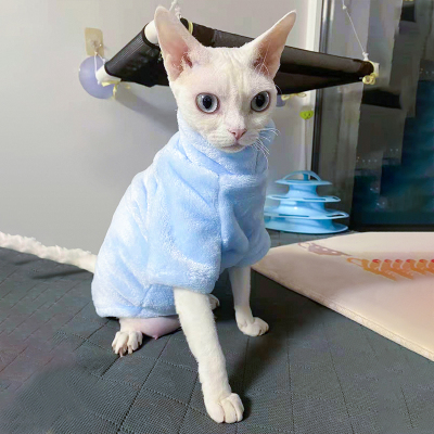德国卷毛德文猫无毛猫衣服幼猫秋冬新款潮牌好穿可爱猫咪宠物服装