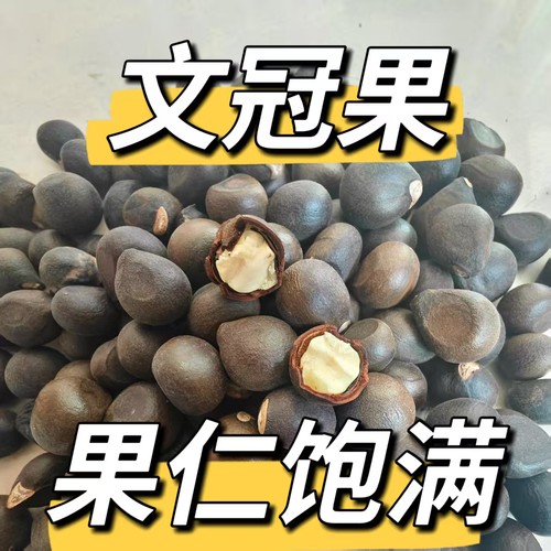 文冠果果仁饱满高含量神经酸