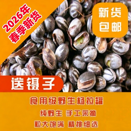 杨拉罐坦克虫2026年春季新货