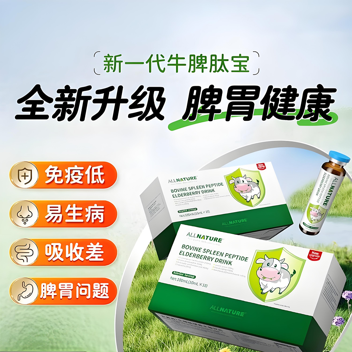 安美奇牛脾肽接骨木莓口服液