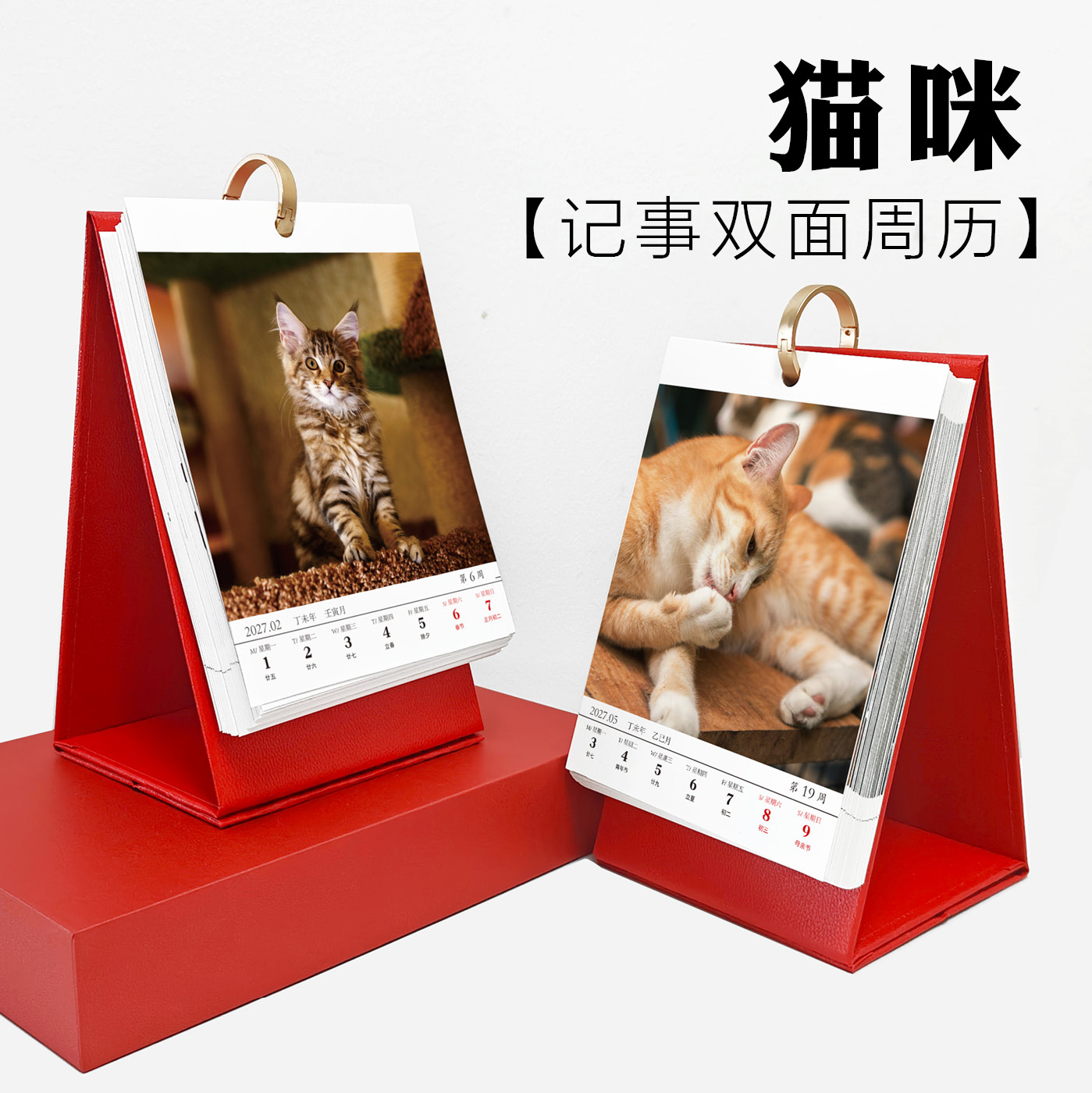 可爱宠物小猫咪萌宠日历台历周历