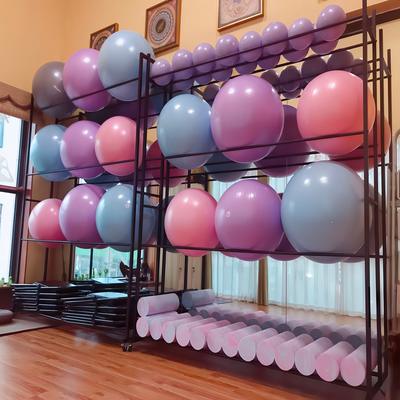 架子收纳健身馆器材瑜伽球