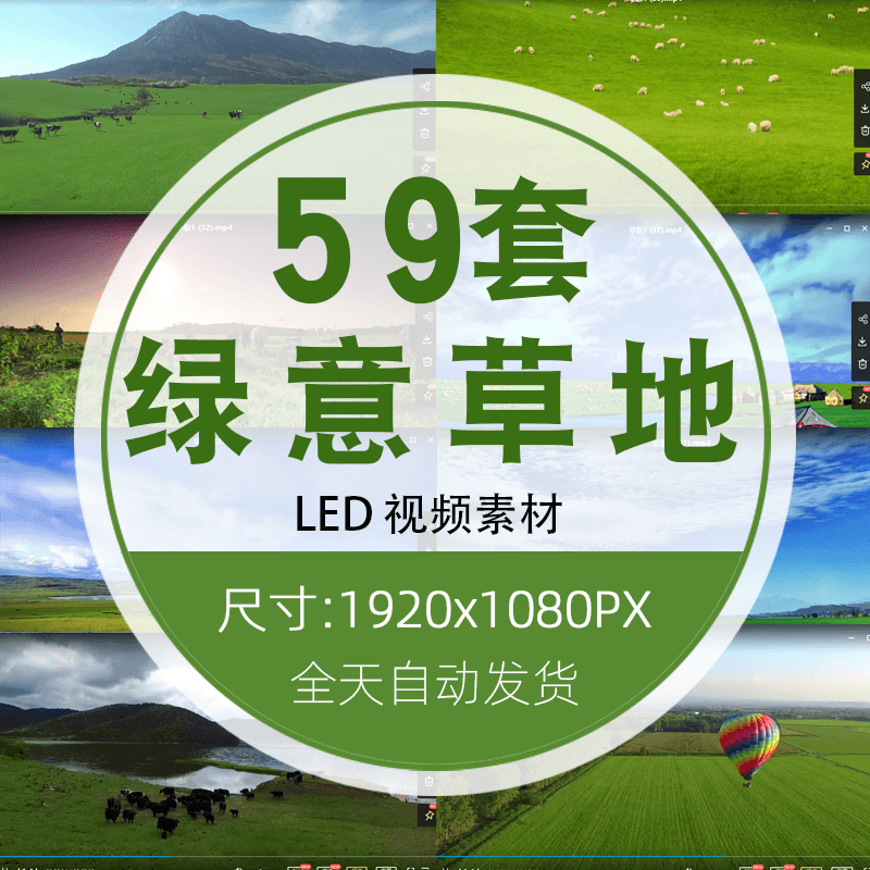 自动发货 无需咨询D10